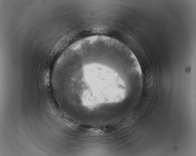 X0000115510502200912041105