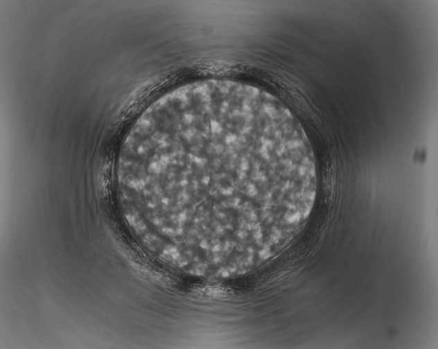 X0000115510503200912041105