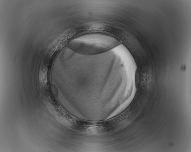 X0000115510504200912041105