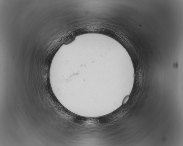 X0000115510505200912041105