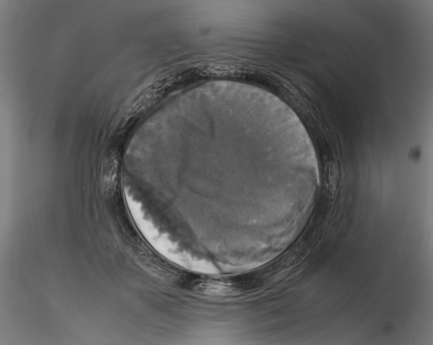 X0000115510507200912041105