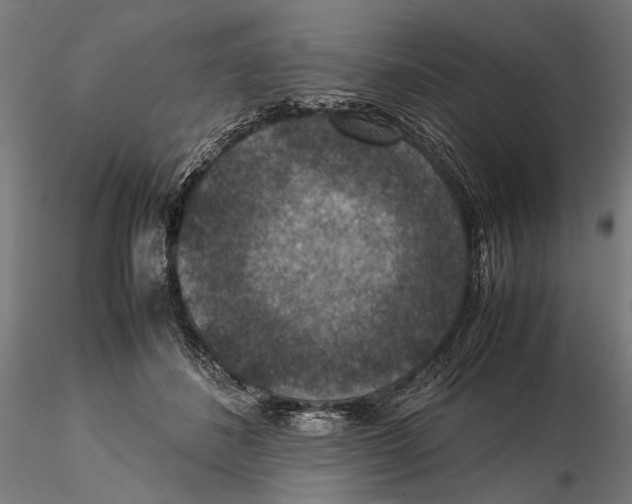 X0000115510508200912041105