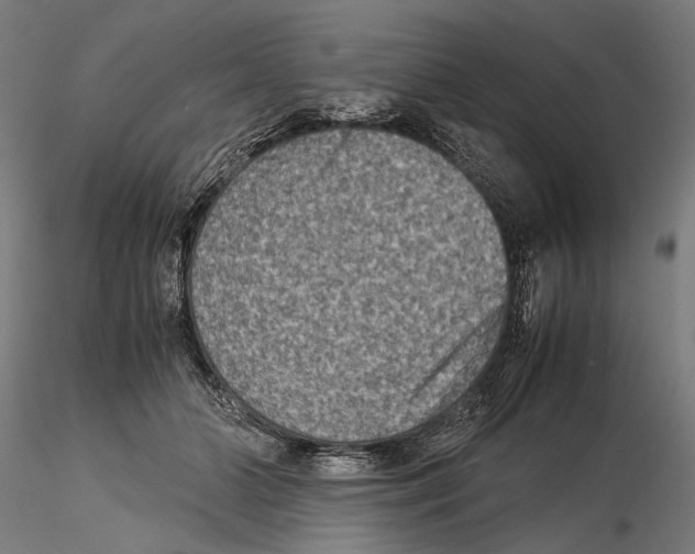 X0000115510510200912041105