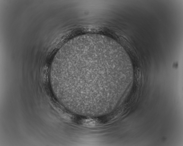 X0000115510511200912041105