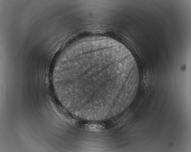 X0000115510512200912041105