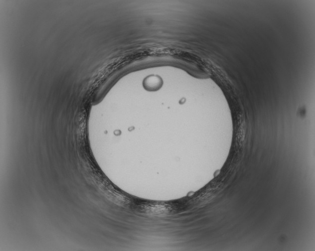 X0000115510513200912041105