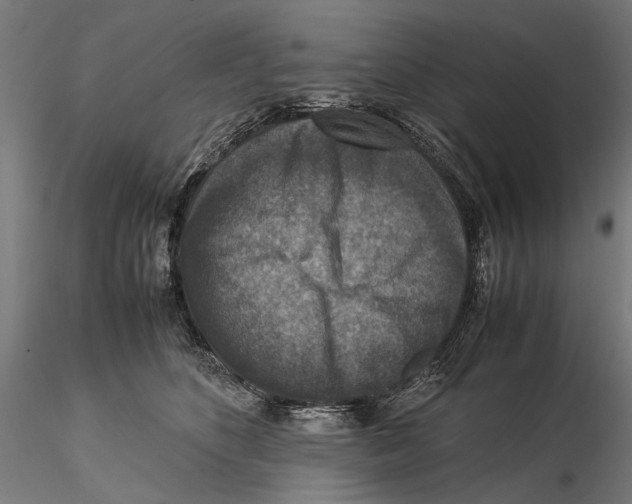 X0000115510516200912041104