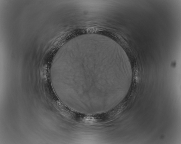 X0000115510519200912041104