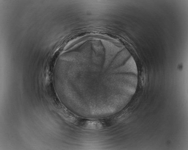 X0000115510520200912041104