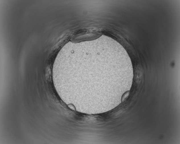 X0000115510523200912041104