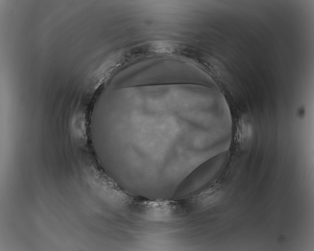 X0000115510524200912041104