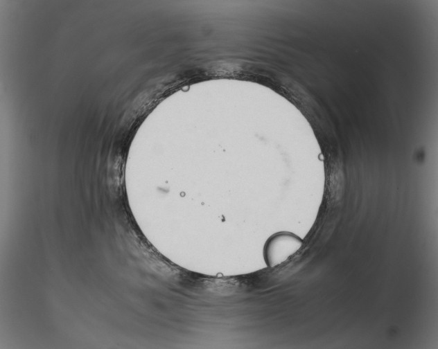 X0000115510525200912041104