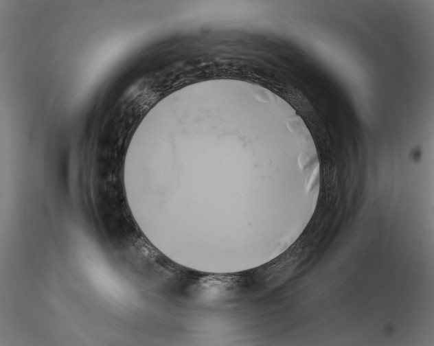 X0000115510526200912041104