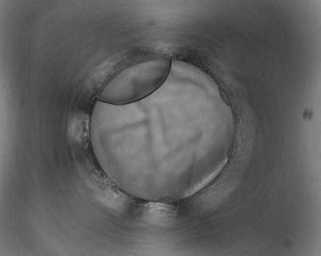 X0000115510528200912041104