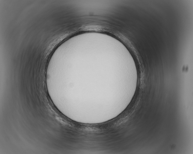 X0000115510529200912041104