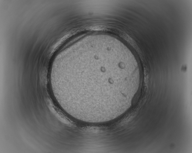 X0000115510530200912041104