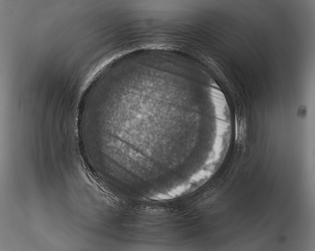 X0000115510531200912041104