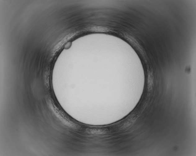 X0000115510533200912041104