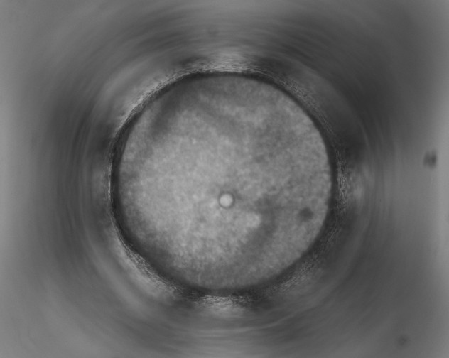 X0000115510534200912041104