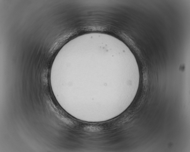 X0000115510537200912041104