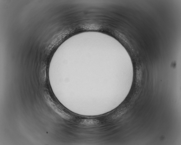 X0000115510541200912041104