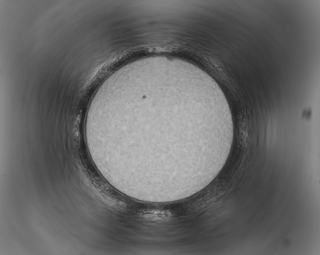 X0000115510543200912041104