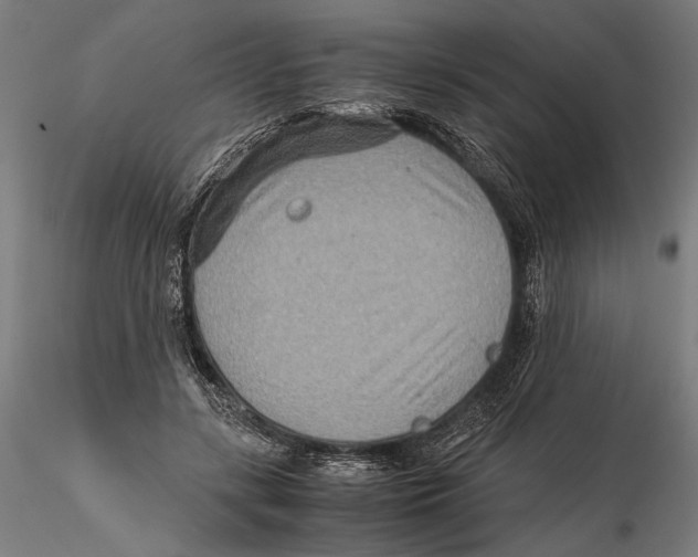 X0000115510547200912041104