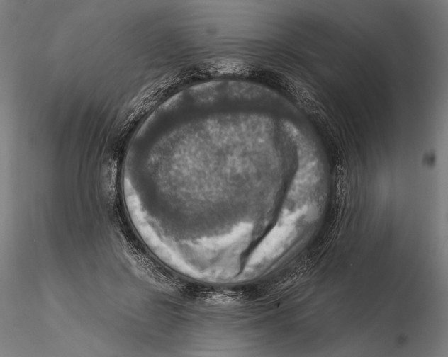 X0000115510550200912041104