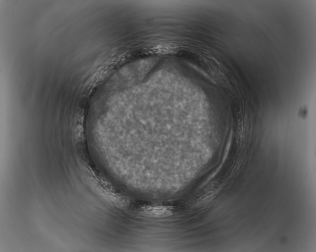 X0000115510553200912041104