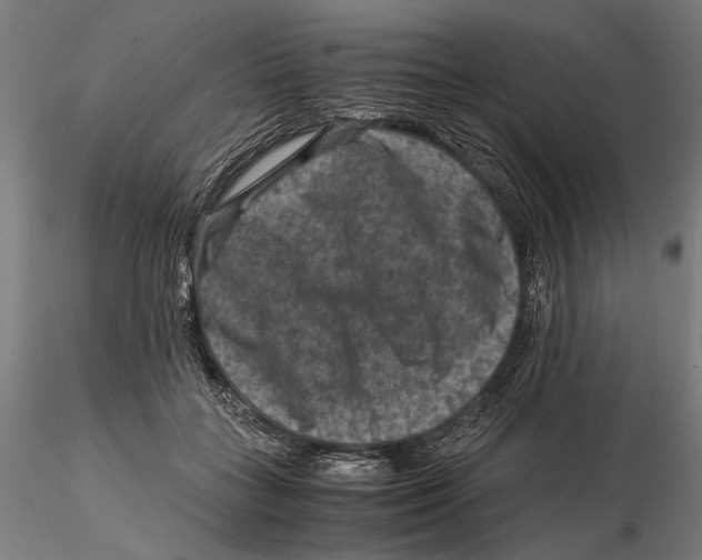 X0000115510555200912041104