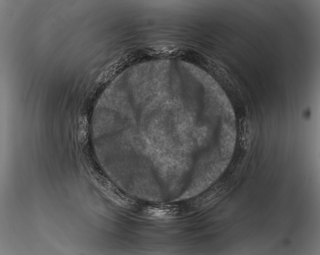 X0000115510563200912041104