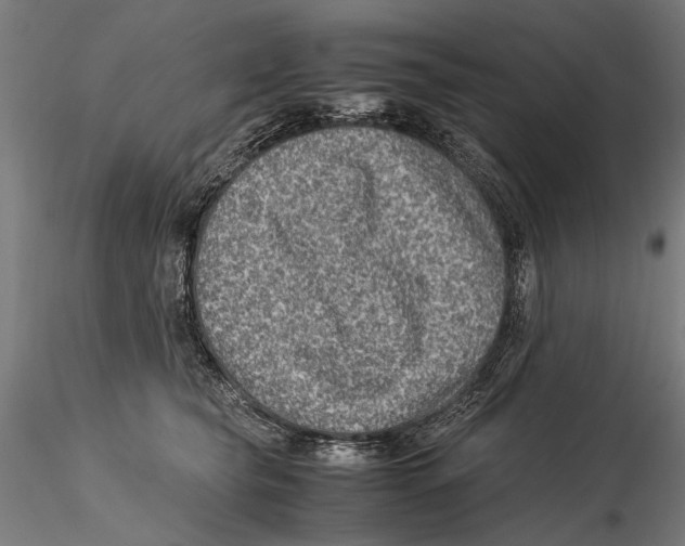 X0000115510565200912041104