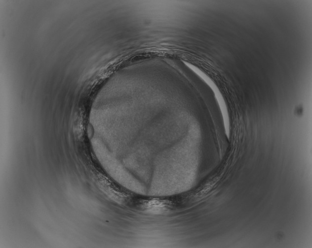 X0000115510566200912041104