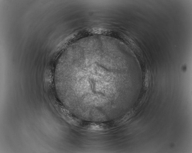 X0000115510569200912041104