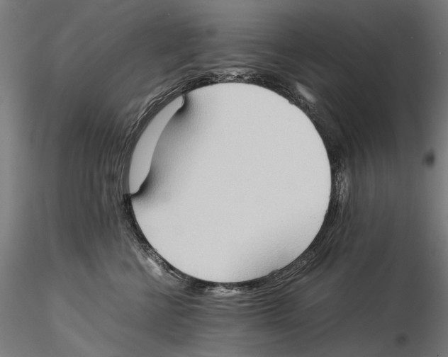 X0000115510570200912041104