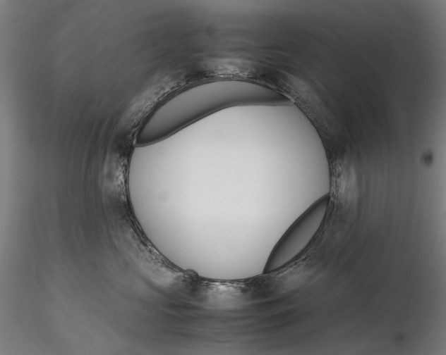 X0000115510573200912041104