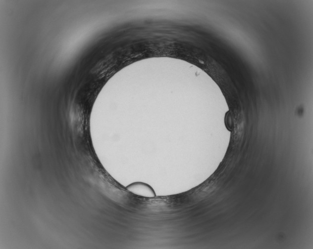 X0000115510574200912041104