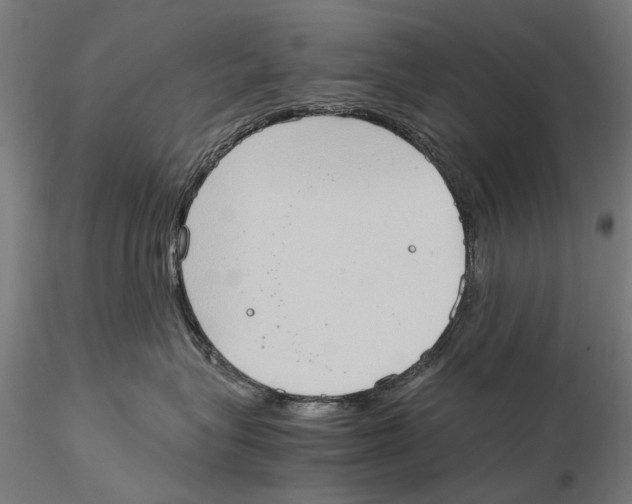 X0000115510575200912041104