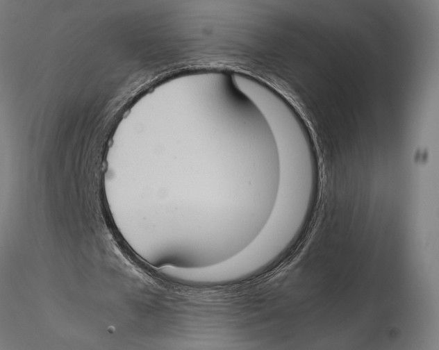 X0000115510577200912041104