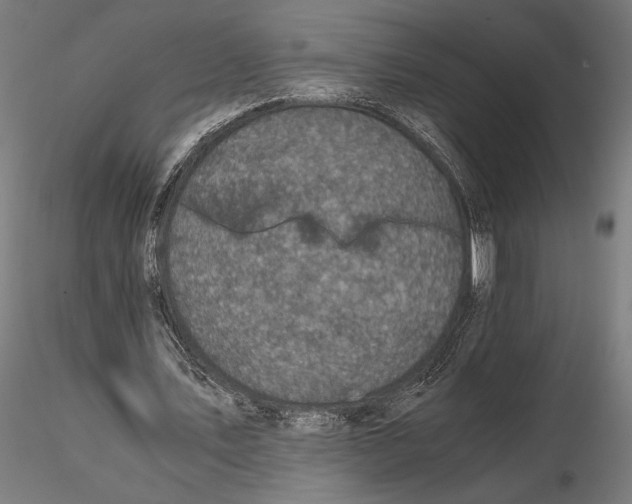 X0000115510579200912041104