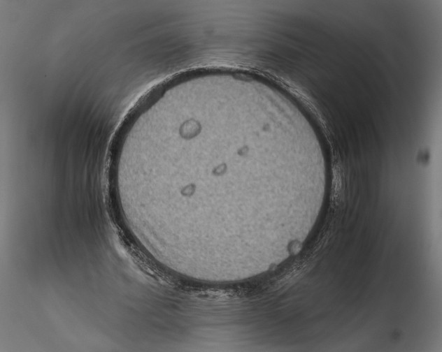 X0000115510580200912041104