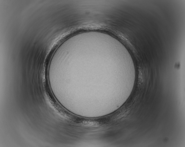 X0000115510582200912041104