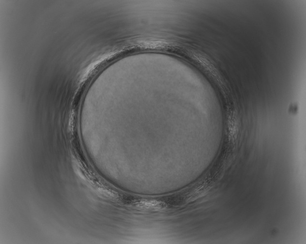 X0000115510583200912041104