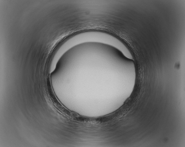 X0000115510587200912041104