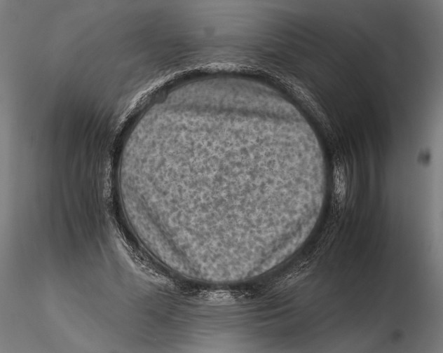 X0000115510588200912041104