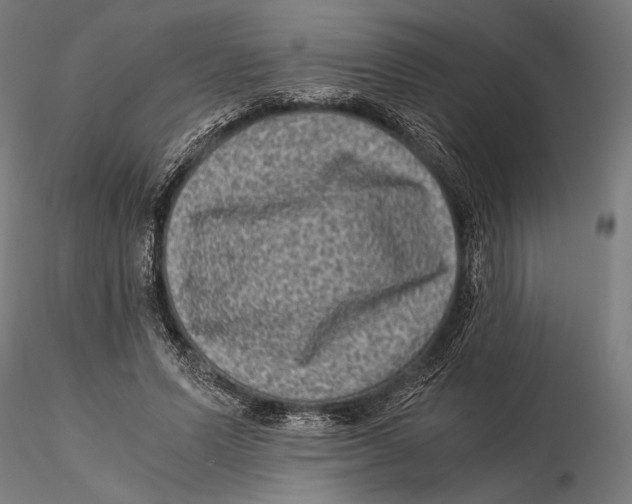 X0000115510591200912041103