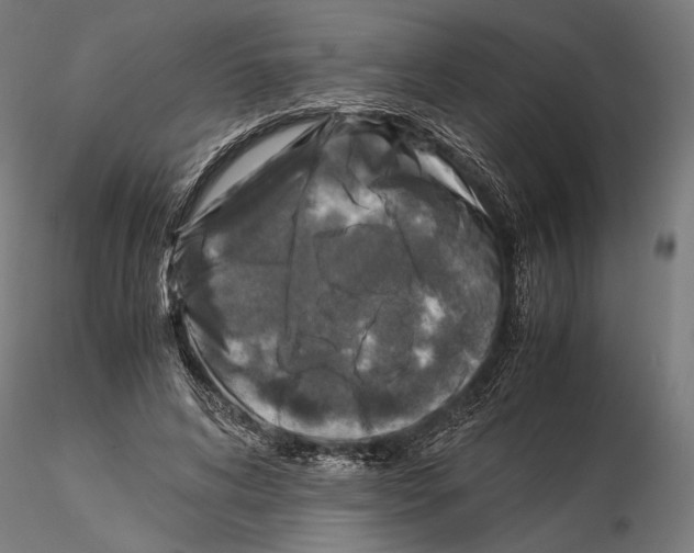 X0000115510592200912041103