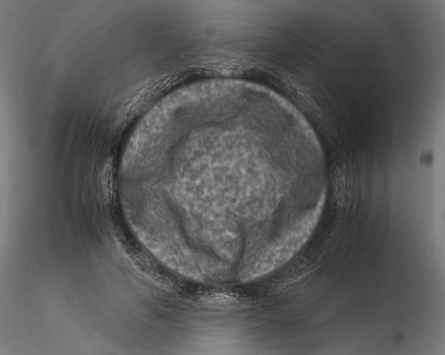 X0000115510594200912041103