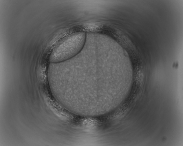 X0000115510599200912041103