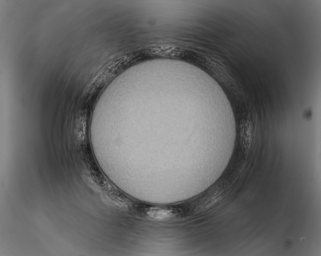 X0000115510602200912041103